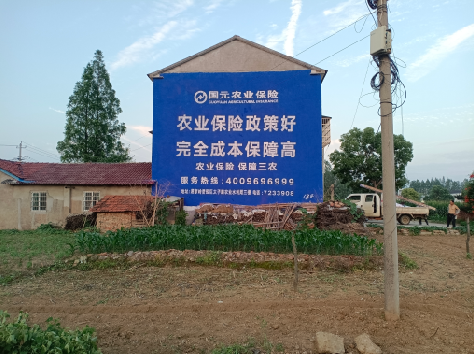 建湖墙体广告的优劣势你知道吗？