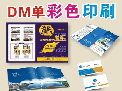 建湖单页印刷,色彩搭配简单。